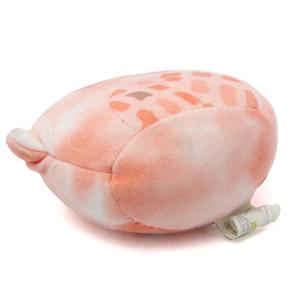 Squishmallow Livvy the Starfish Small Plush Toy Orange Peach Soft Squishy Kids - Picture 6 of 6